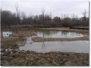 New Pond