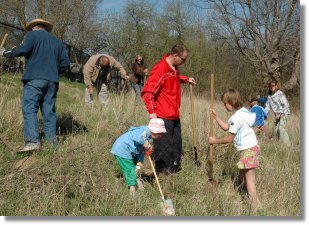 Storm Water Pond tree planting volunteers hard at work